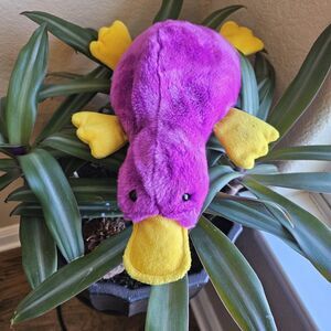 Ty Beanie Baby Buddy Buddies Collections - Patti the Platypus 1998 Rare HTF